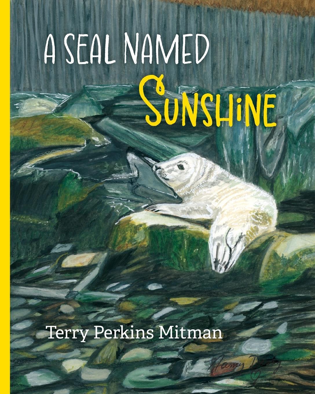 Cover: 9798988456919 | A Seal Named Sunshine | Terry Perkins Mitman | Taschenbuch | Paperback