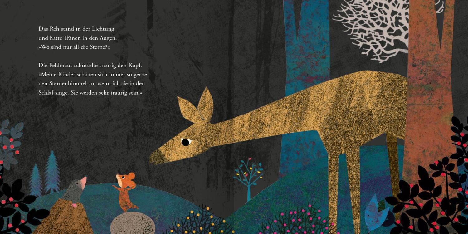 Bild: 9783845830667 | Der Maulwurf und die Sterne | Britta Teckentrup | Buch | Hardcover