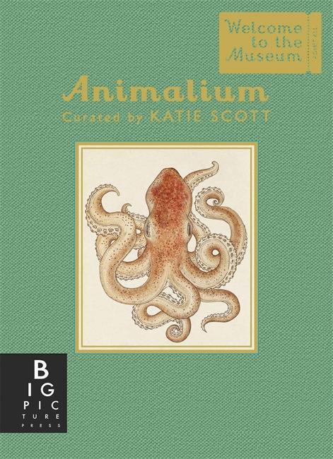 Cover: 9781783706112 | Animalium (Mini Gift Edition) | Jenny Broom | Buch | 64 S. | Englisch