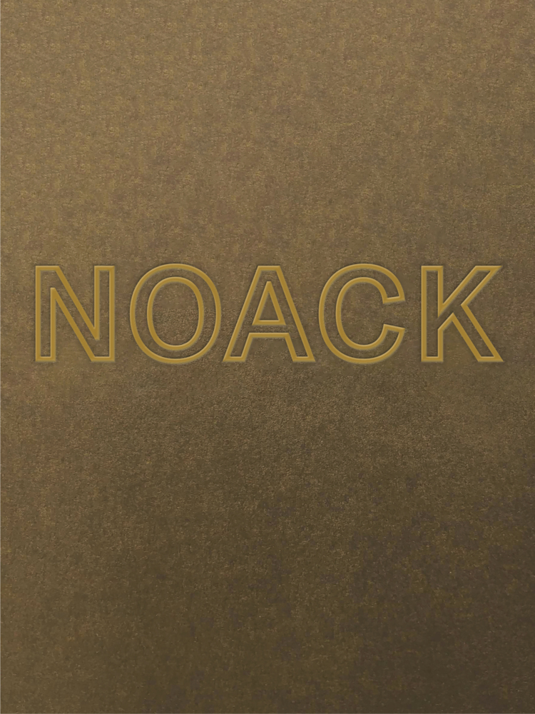 Cover: 9783954765386 | 125 Years Noack Fine Art Foundry | Hermann Noack IV | Buch | Englisch