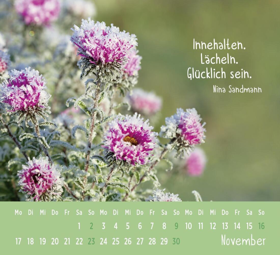 Bild: 4036442012178 | Mini-Kalender 2025: Der kleine Glückskalender | Groh Verlag | Kalender