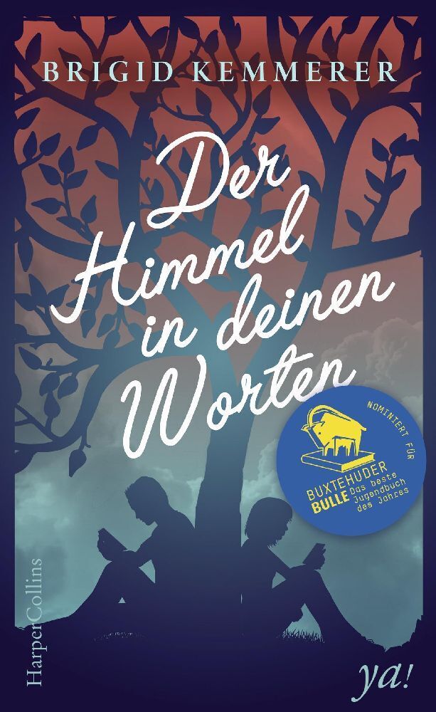Cover: 9783959671644 | Der Himmel in deinen Worten | Brigid Kemmerer | Buch | 352 S. | 2017