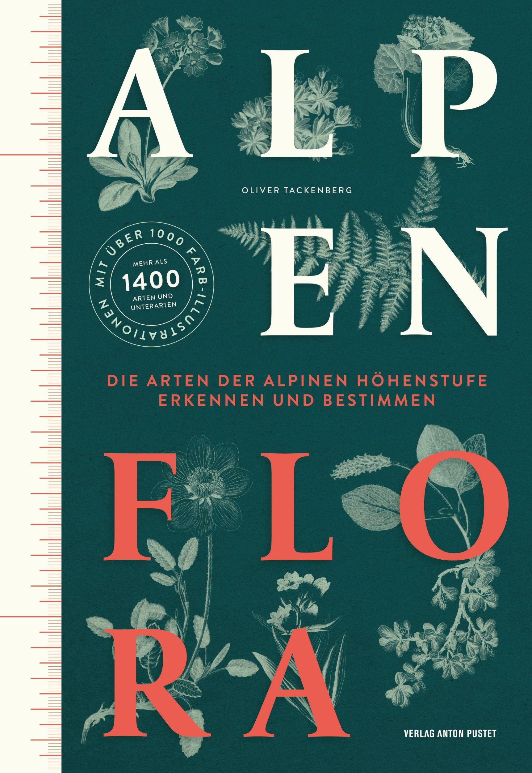 Cover: 9783702511340 | Alpenflora | Oliver Tackenberg | Buch | 800 S. | Deutsch | 2024