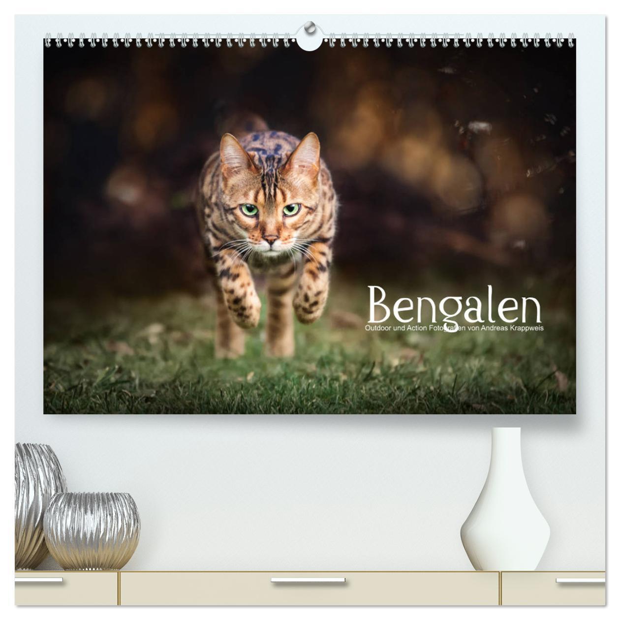 Cover: 9783675751330 | Bengalen Outdoor und Action (hochwertiger Premium Wandkalender 2024...