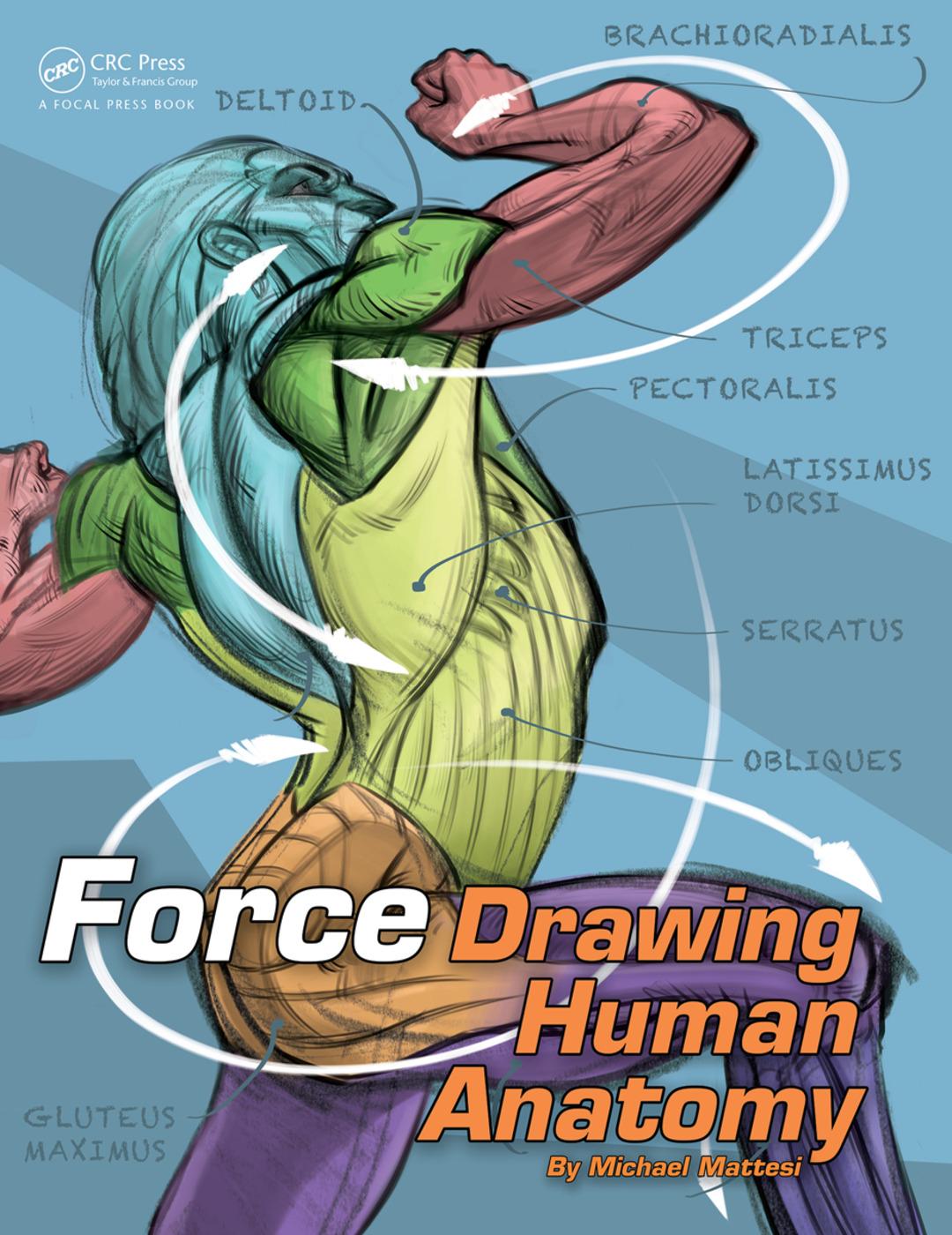 Cover: 9780415733977 | Force: Drawing Human Anatomy | Mike Mattesi | Taschenbuch | Englisch