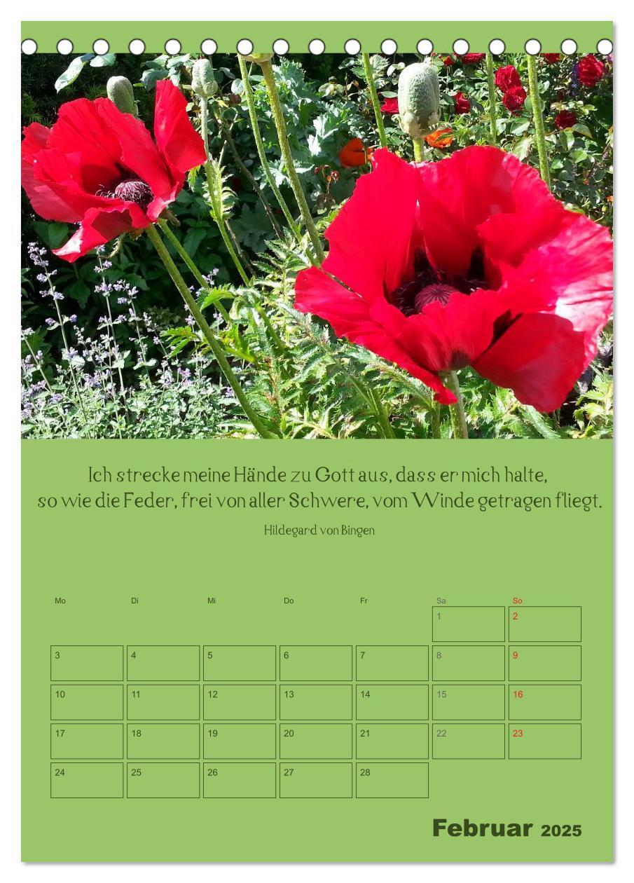 Bild: 9783457059135 | Erkenntnis und Weisheit - Hildegard von Bingen (Tischkalender 2025...