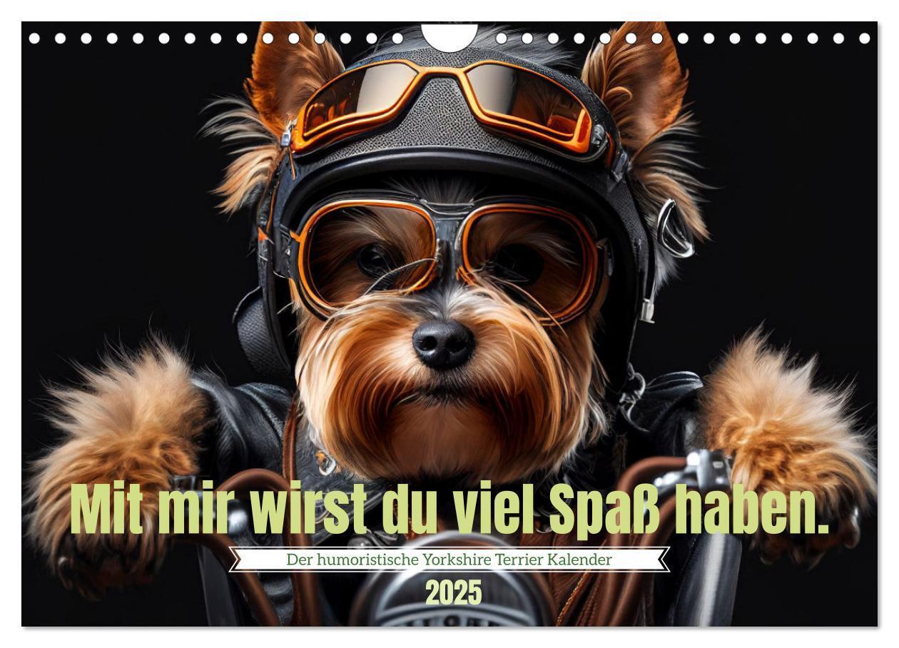 Cover: 9783383920523 | Der humoristische Yorkshire Terrier Kalender (Wandkalender 2025 DIN...