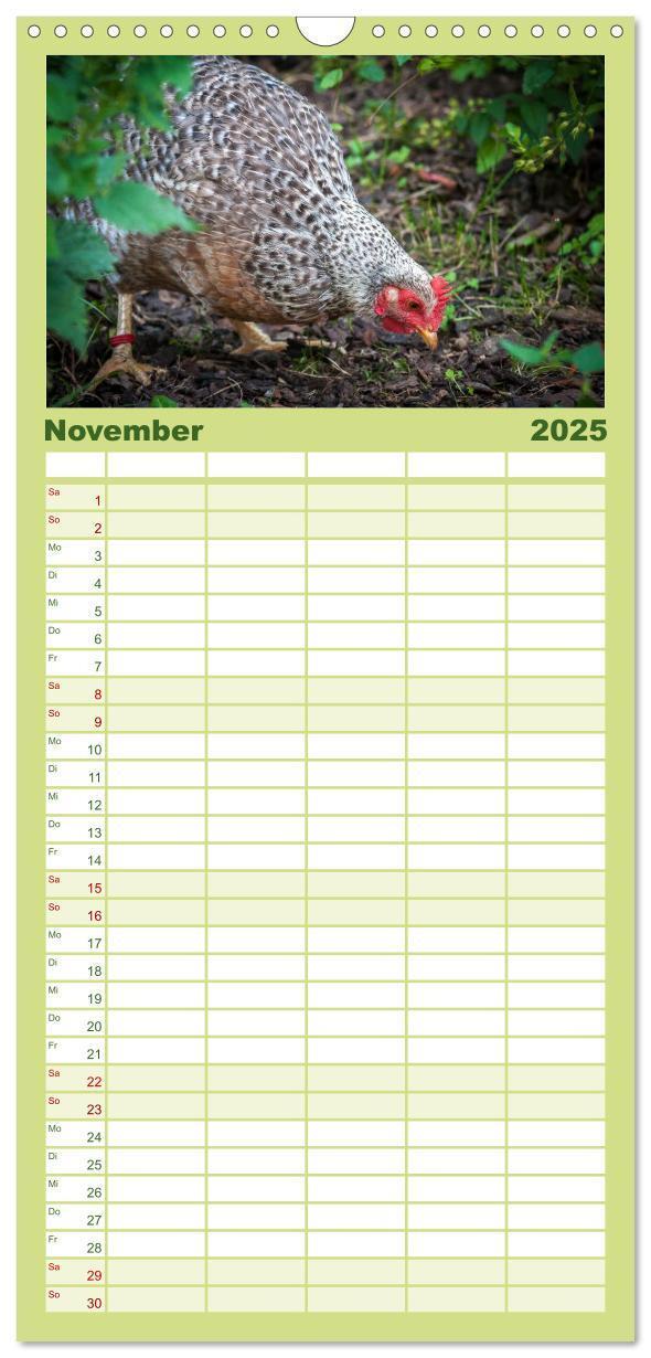 Bild: 9783457116302 | Familienplaner 2025 - Gartenhühner mit 5 Spalten (Wandkalender, 21...