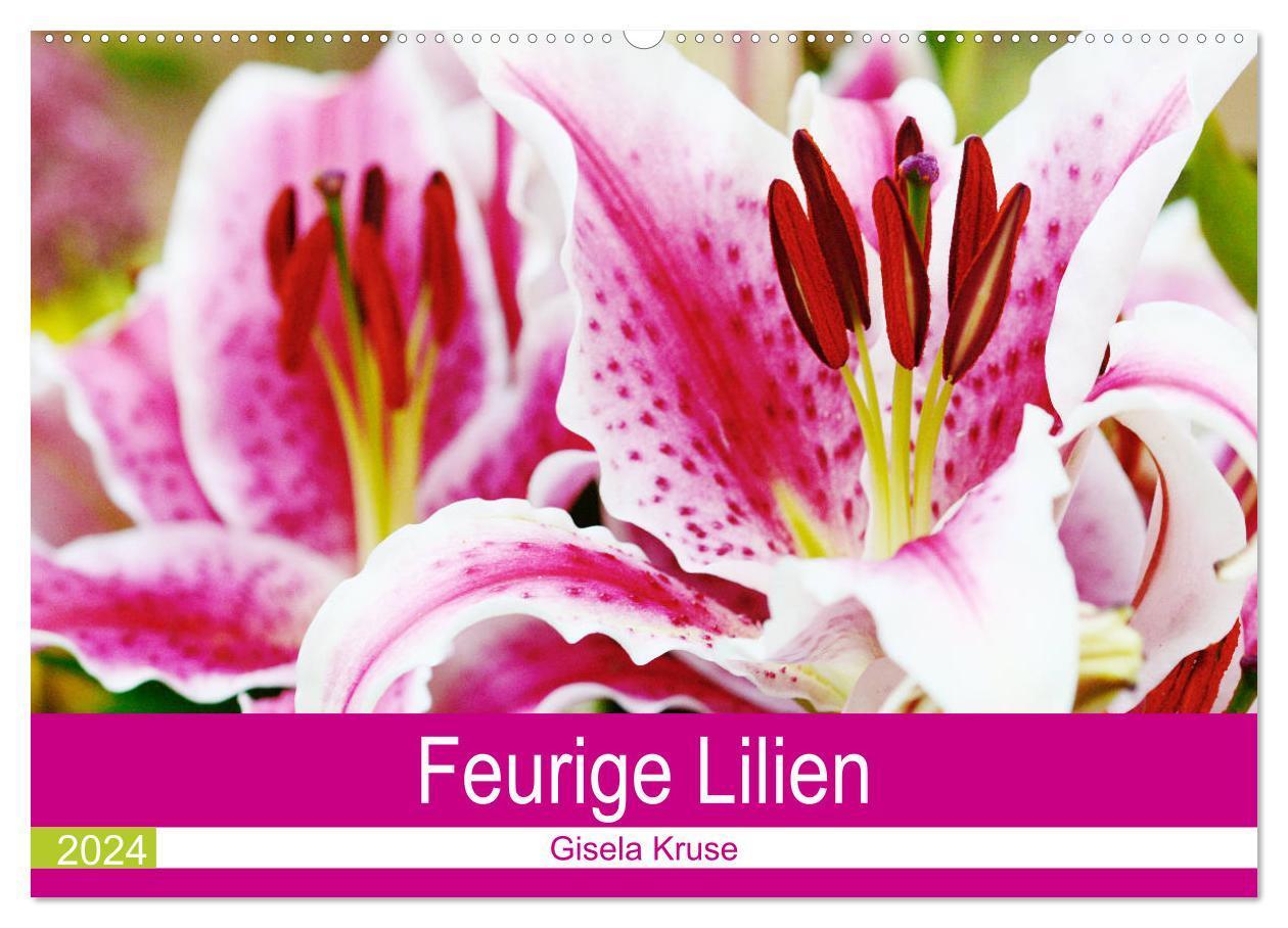 Cover: 9783675676749 | Feurige Lilien (Wandkalender 2024 DIN A2 quer), CALVENDO...