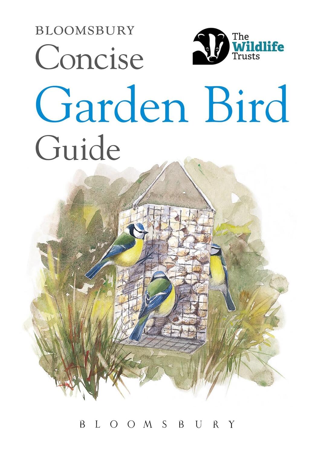 Cover: 9781472966506 | Concise Garden Bird Guide | Bloomsbury | Taschenbuch | Concise Guides