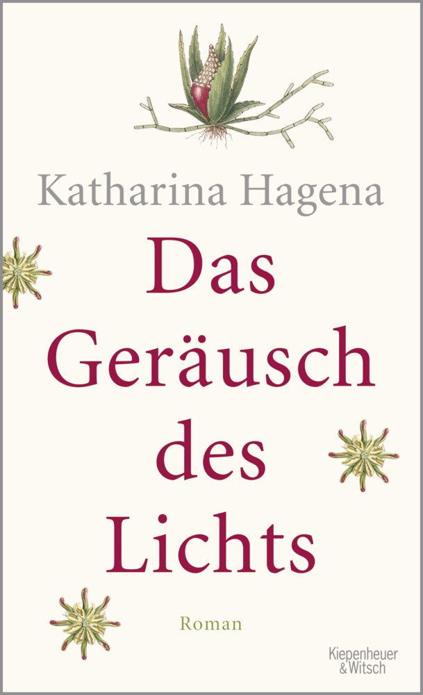 Cover: 9783462049329 | Das Geräusch des Lichts | Roman | Katharina Hagena | Buch | 2016