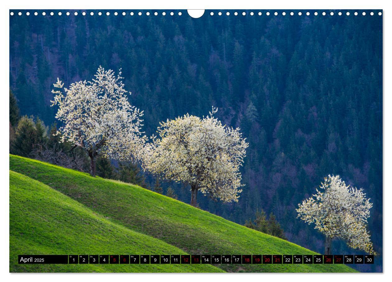 Bild: 9783435098965 | Alpen - Schweiz und Vorarlberg (Wandkalender 2025 DIN A3 quer),...