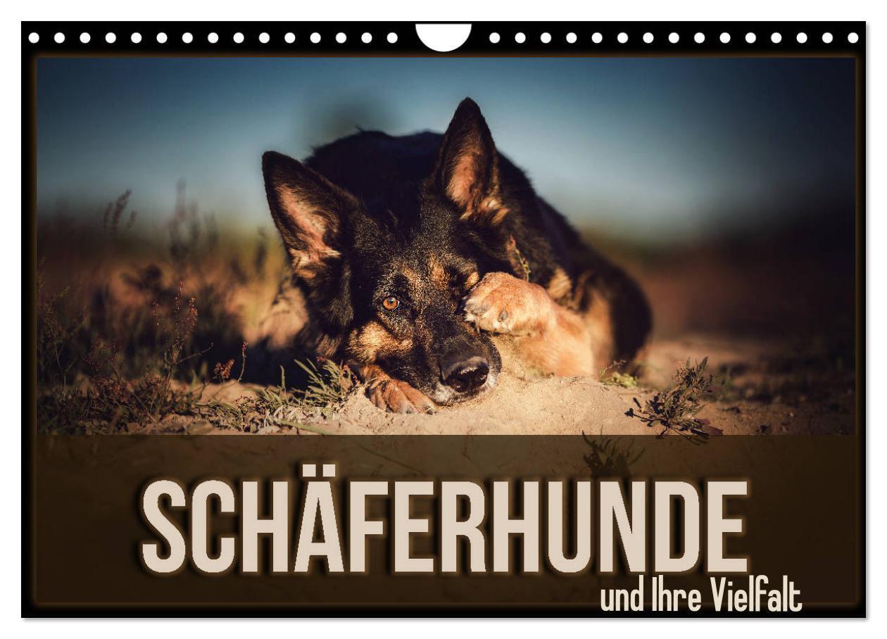 Cover: 9783675570733 | Schäferhunde und Ihre Vielfalt (Wandkalender 2024 DIN A4 quer),...