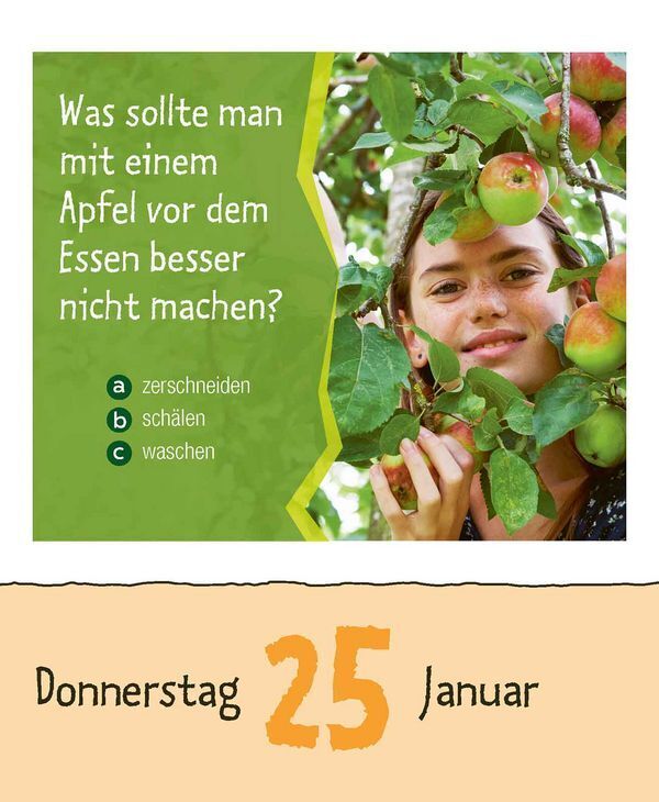 Bild: 9783731870470 | Kinderwissen 2024 | Korsch Verlag | Kalender | 328 S. | Deutsch | 2024