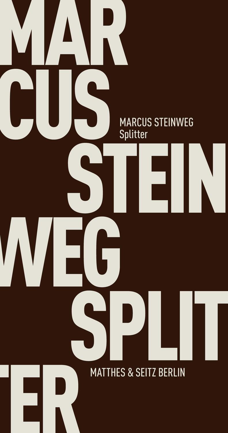 Cover: 9783957573438 | Splitter | Marcus Steinweg | Taschenbuch | Fröhliche Wissenschaft