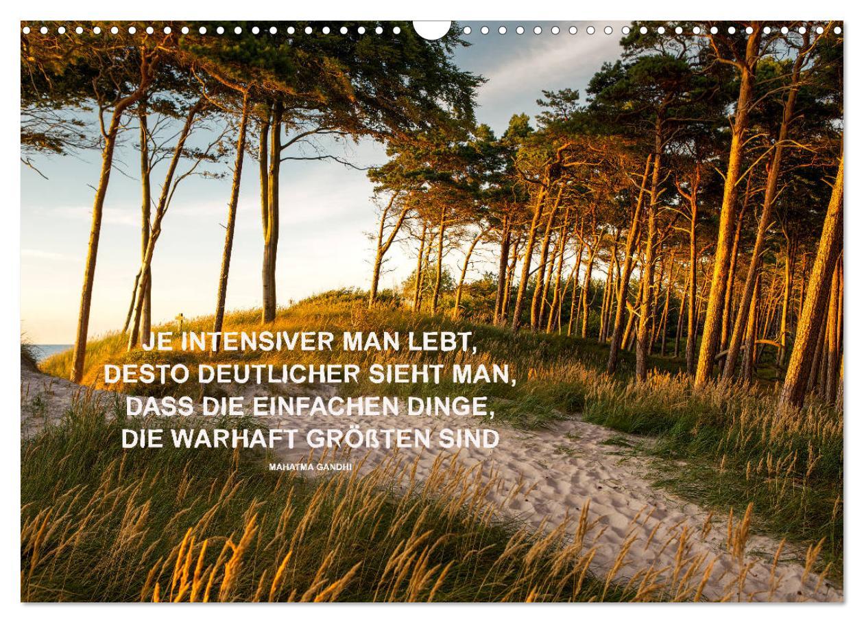 Bild: 9783435123155 | Motivation und Meer (Wandkalender 2025 DIN A3 quer), CALVENDO...