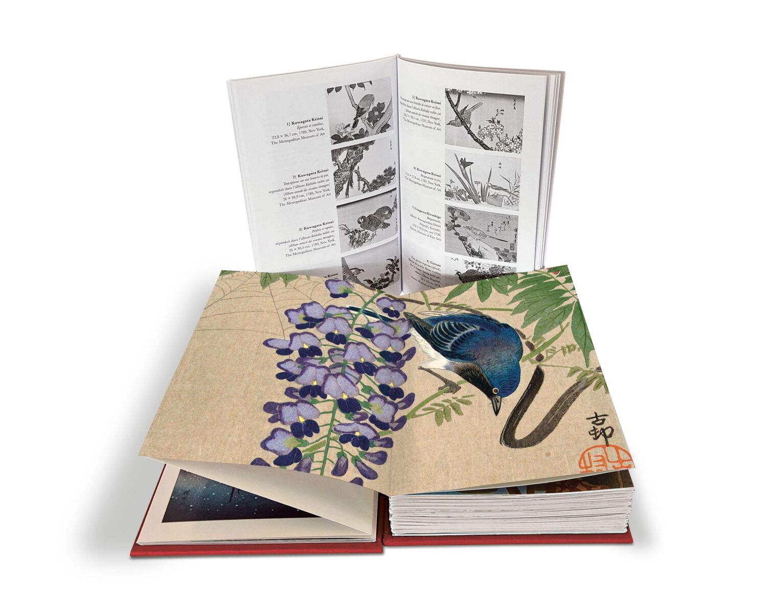 Bild: 9783791379500 | Eisvogel und Lotusblüte | Buch | 172 S. | Deutsch | 2022 | Prestel