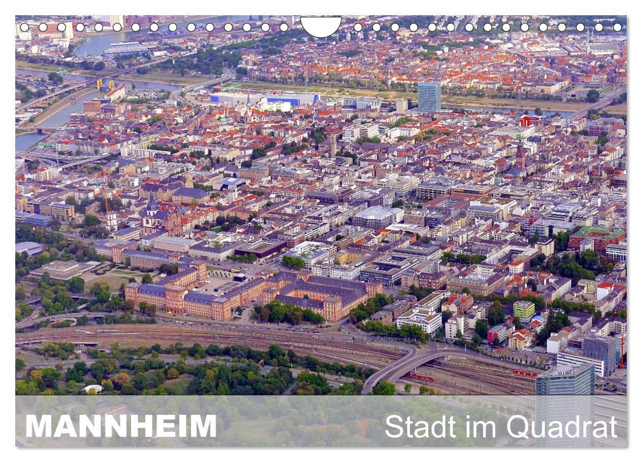 Cover: 9783435585991 | Mannheim - Stadt im Quadrat (Wandkalender 2025 DIN A4 quer),...