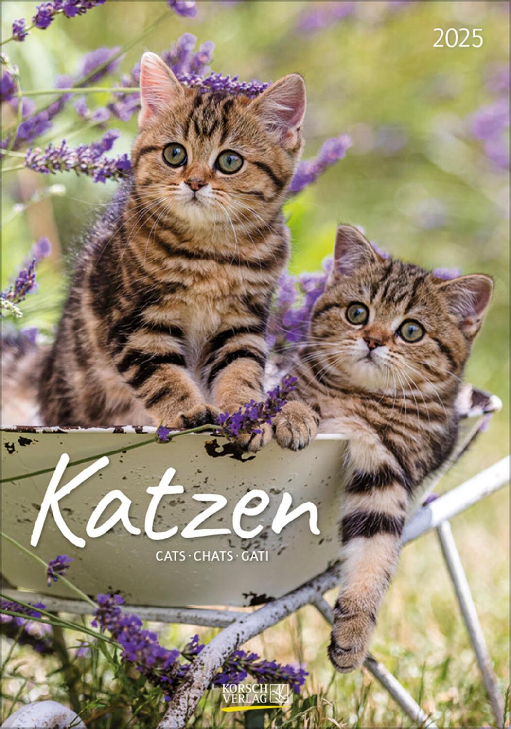 Cover: 9783731876168 | Katzen 2025 | Verlag Korsch | Kalender | Spiralbindung | 13 S. | 2025