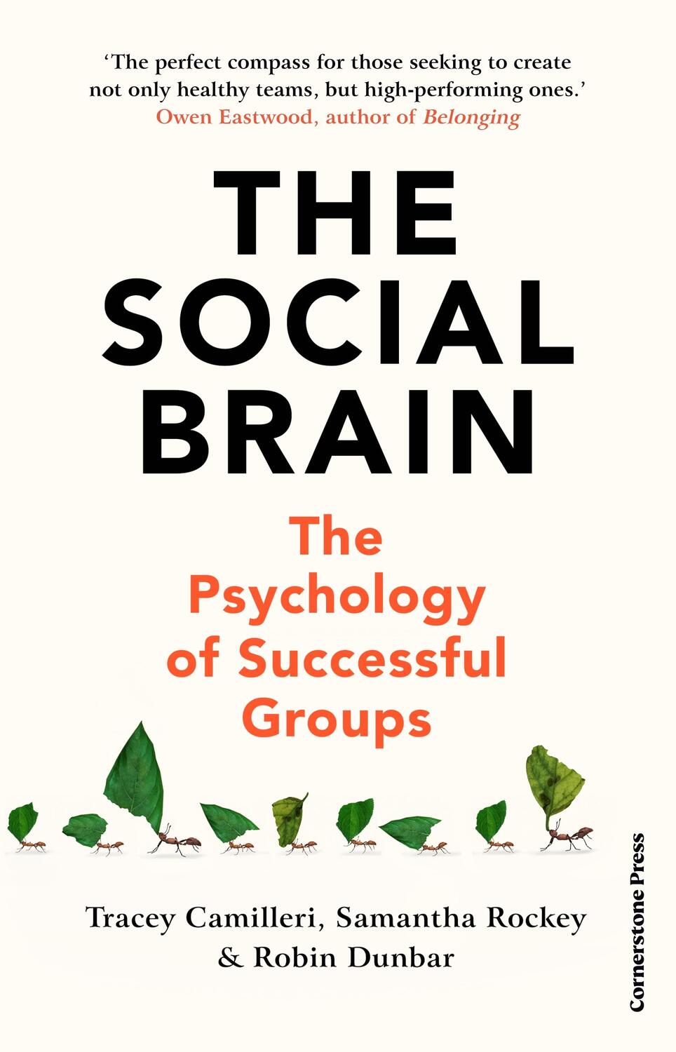 Cover: 9781847943606 | The Social Brain | The Psychology of Successful Groups | Buch | 2023