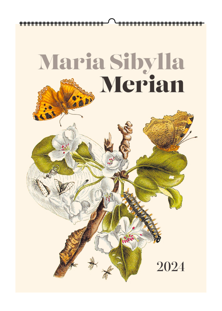 Cover: 9783968491011 | Maria Sibylla Merian. Wandkalender 2024 | Maria Sibylla Merian | 14 S.