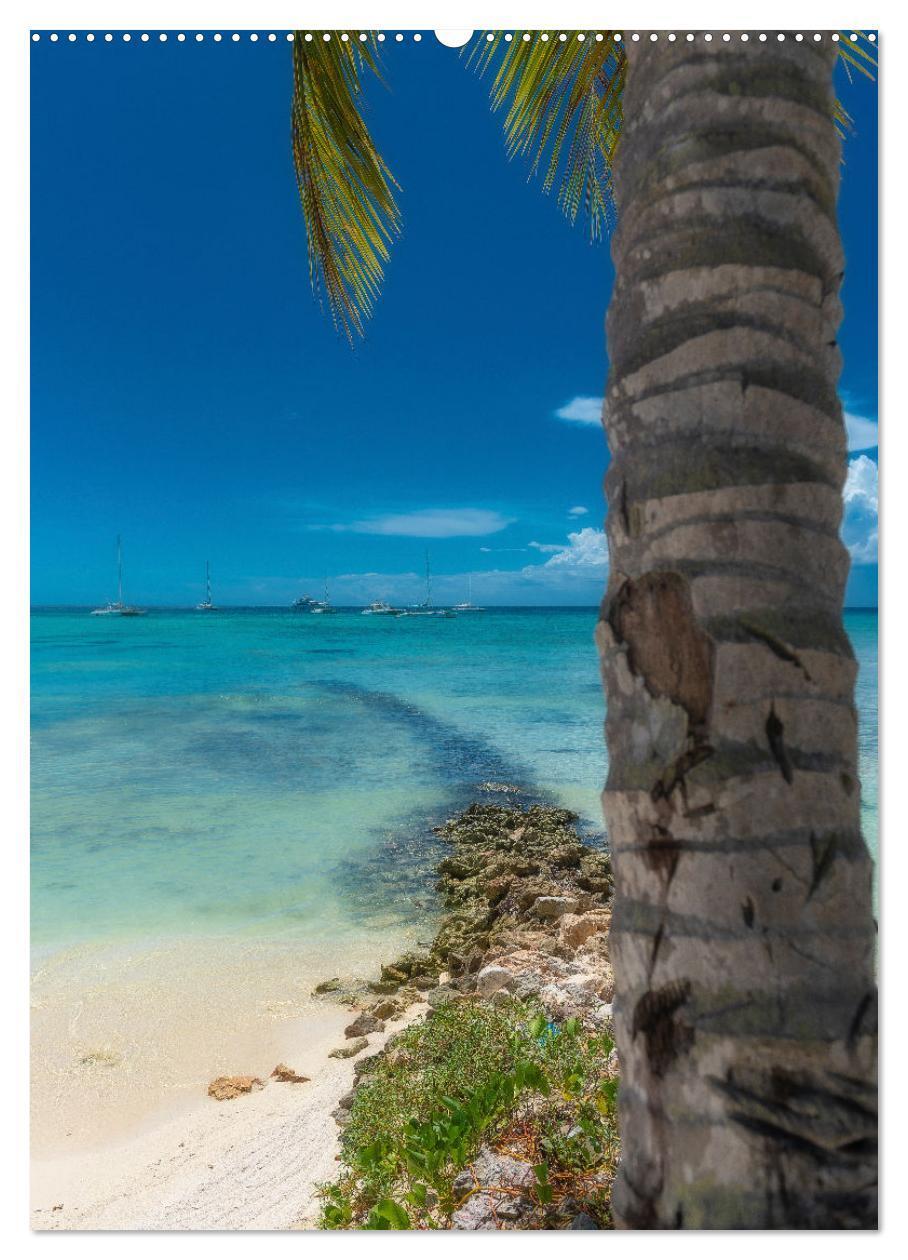 Bild: 9783435904808 | Karibischer Traum Isla Saona (hochwertiger Premium Wandkalender...