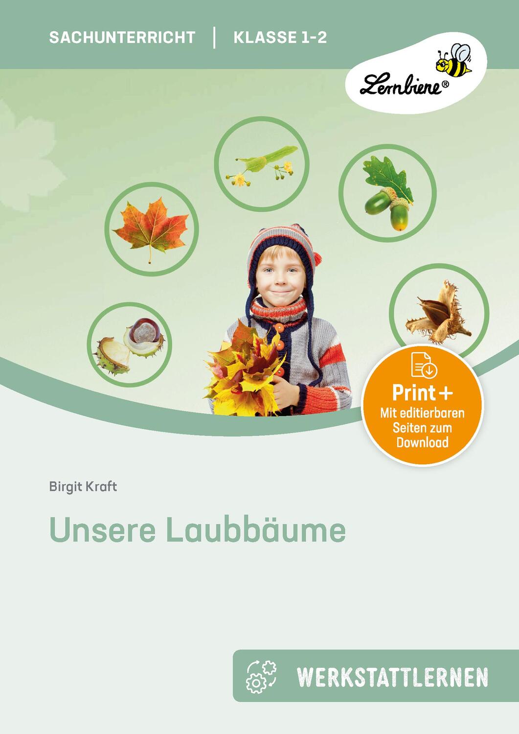 Cover: 9783956647536 | Unsere Laubbäume. Grundschule, Sachunterricht, Klasse 1-2 | Kraft