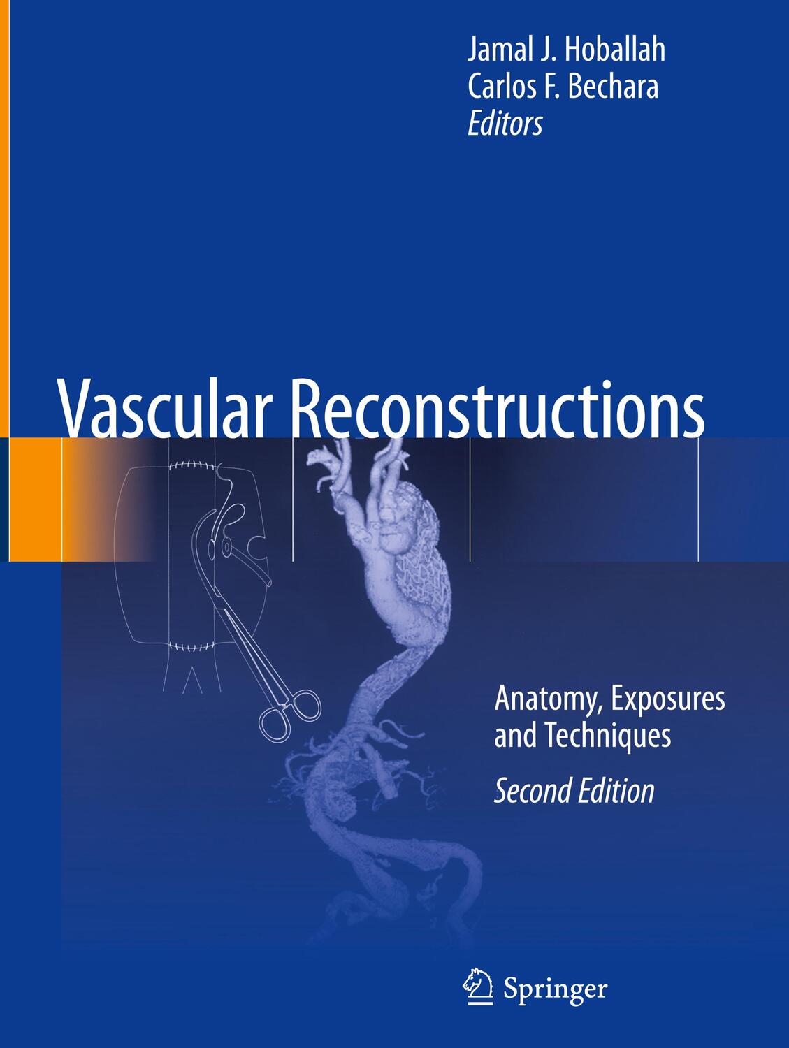 Cover: 9781071610879 | Vascular Reconstructions | Anatomy, Exposures and Techniques | Buch