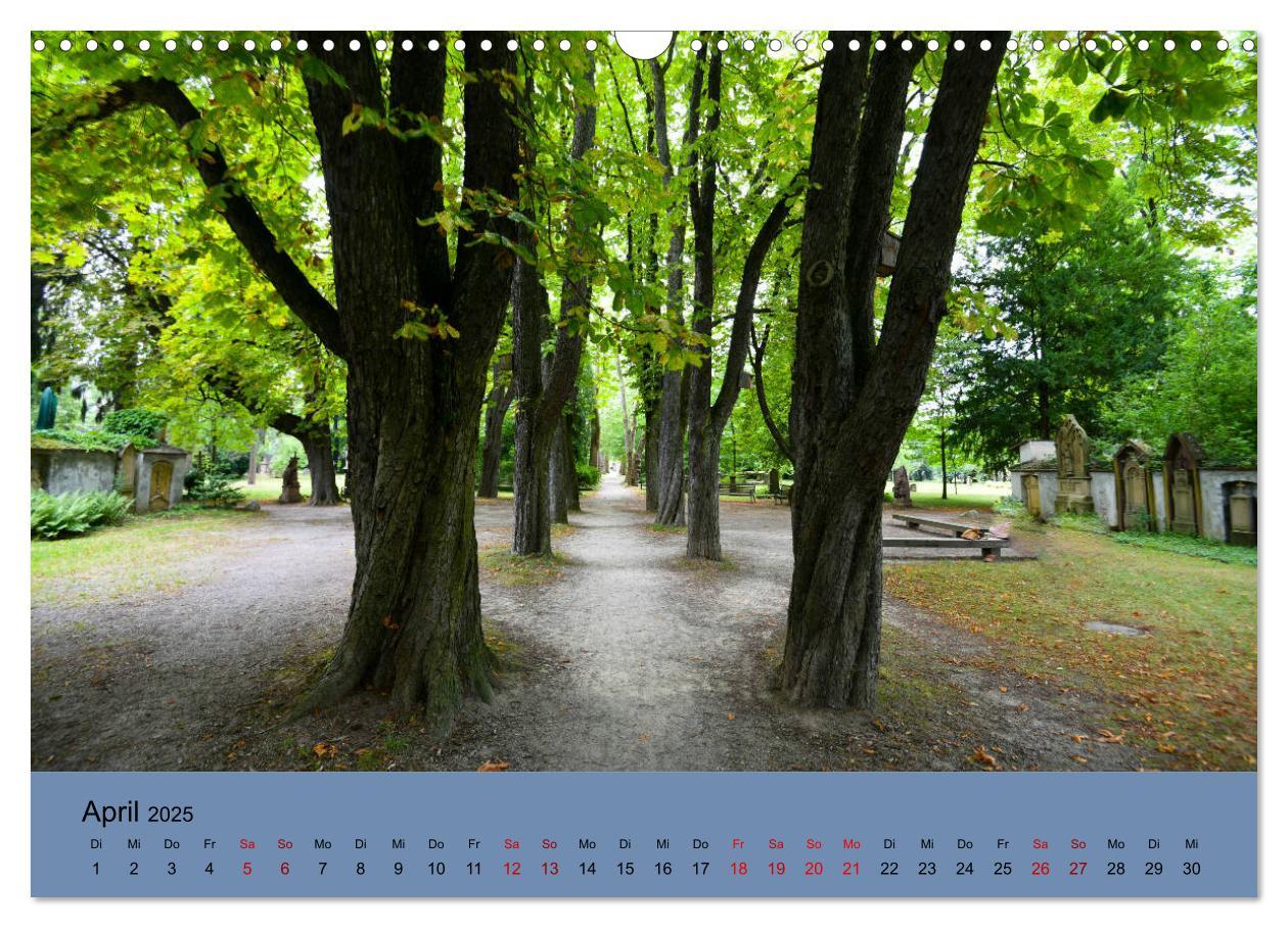 Bild: 9783435360758 | Wundervolles Freiburg (Wandkalender 2025 DIN A3 quer), CALVENDO...