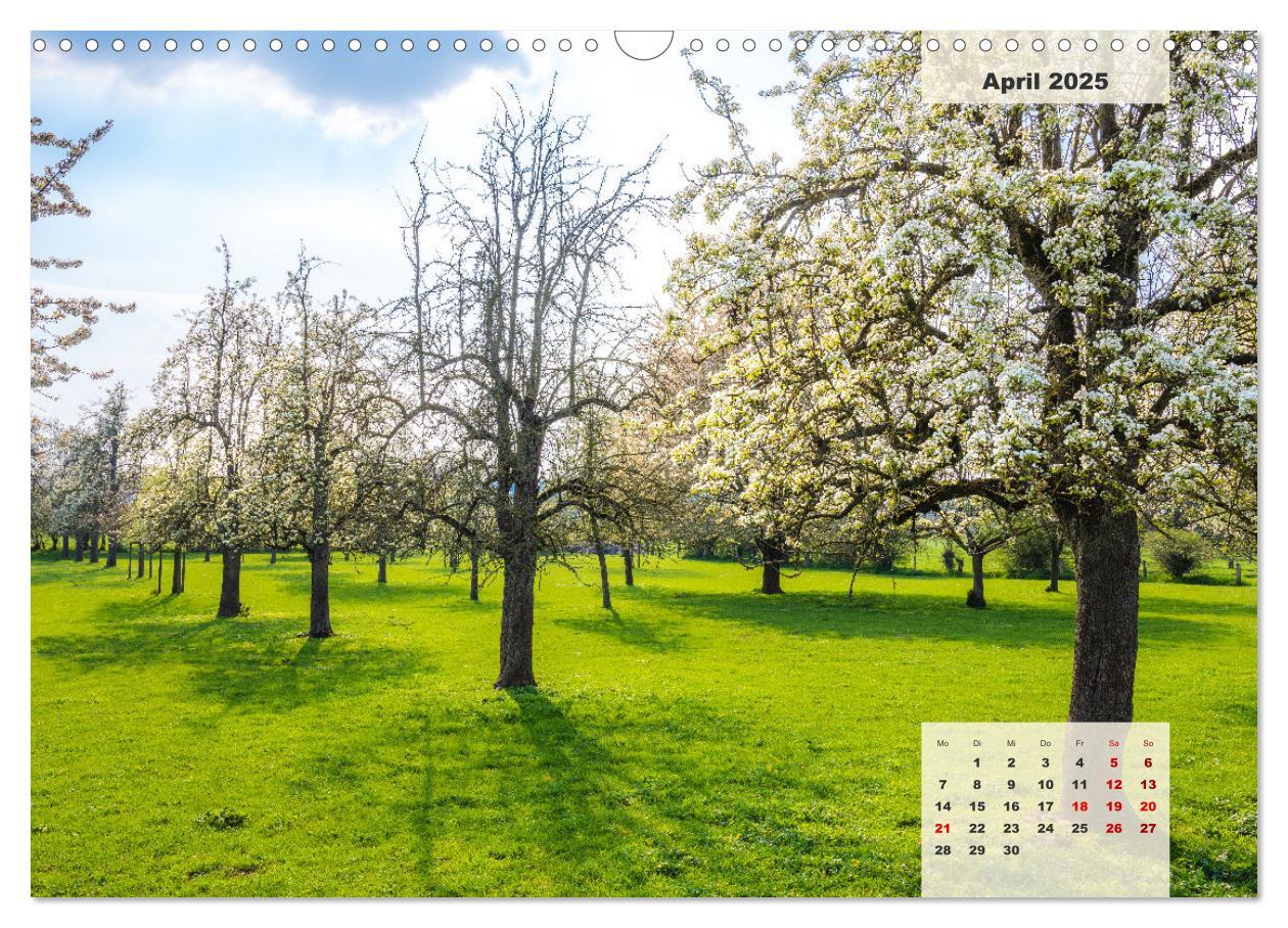 Bild: 9783383922626 | Ein Jahr Niederrhein Wiesen und Wälder (Wandkalender 2025 DIN A3...