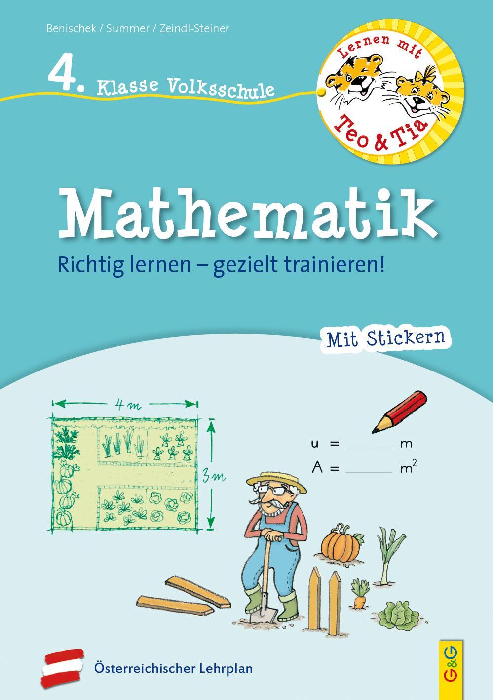 Cover: 9783707422078 | Lernen mit Teo und Tia Mathematik - 4. Klasse Volksschule | Buch