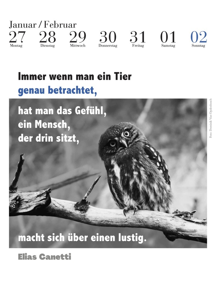 Bild: 9783895617997 | Der literarische Eulenkalender 2025 | Zweifarbiger Wochenkalender