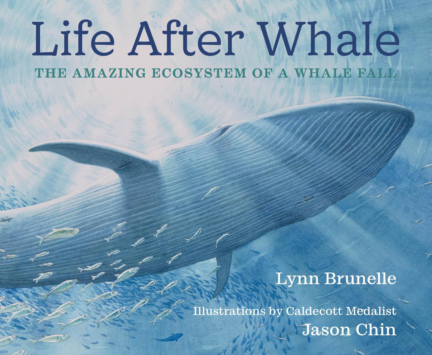 Cover: 9780823452286 | Life After Whale | The Amazing Ecosystem of a Whale Fall | Brunelle