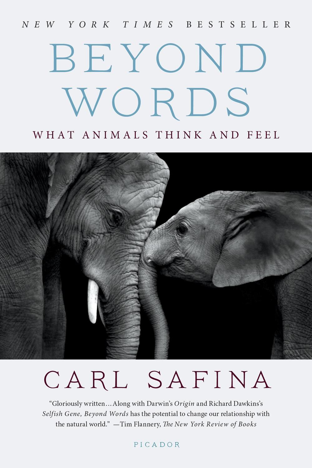 Cover: 9781250094599 | Beyond Words: What Animals Think and Feel | Carl Safina | Taschenbuch