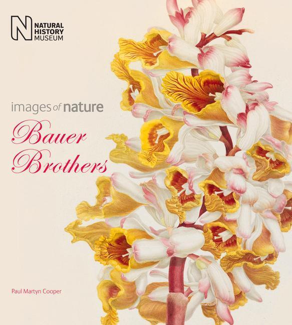 Cover: 9780565093594 | The Bauer Brothers: Images of Nature | Paul Martyn Cooper | Buch