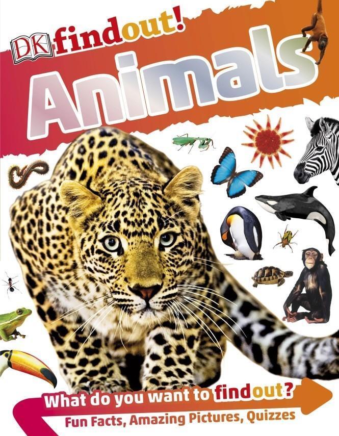 Cover: 9780241250259 | DKfindout! Animals | DK | Taschenbuch | DK find out! | Englisch | 2016