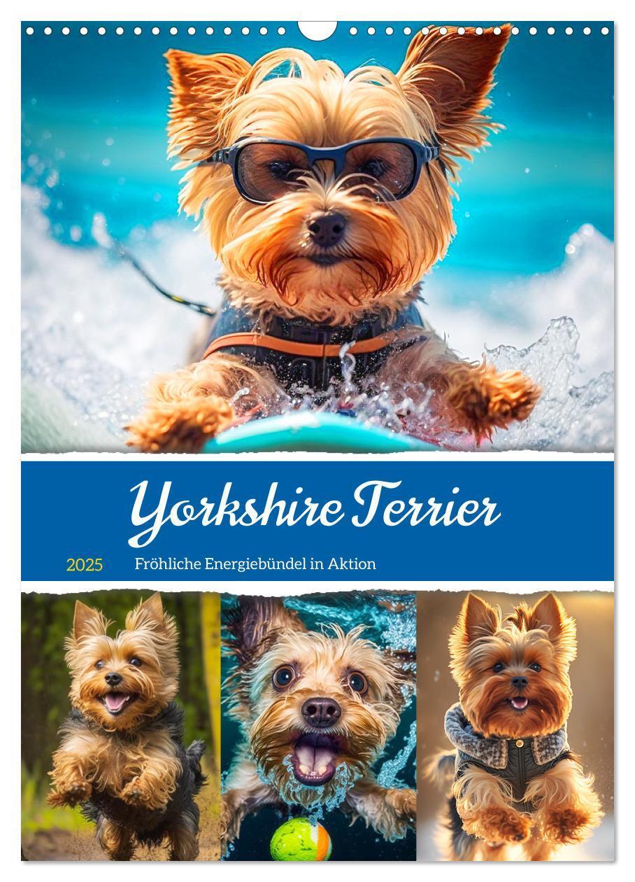 Cover: 9783435873715 | Yorkshire Terrier. Fröhliche Energiebündel in Aktion (Wandkalender...