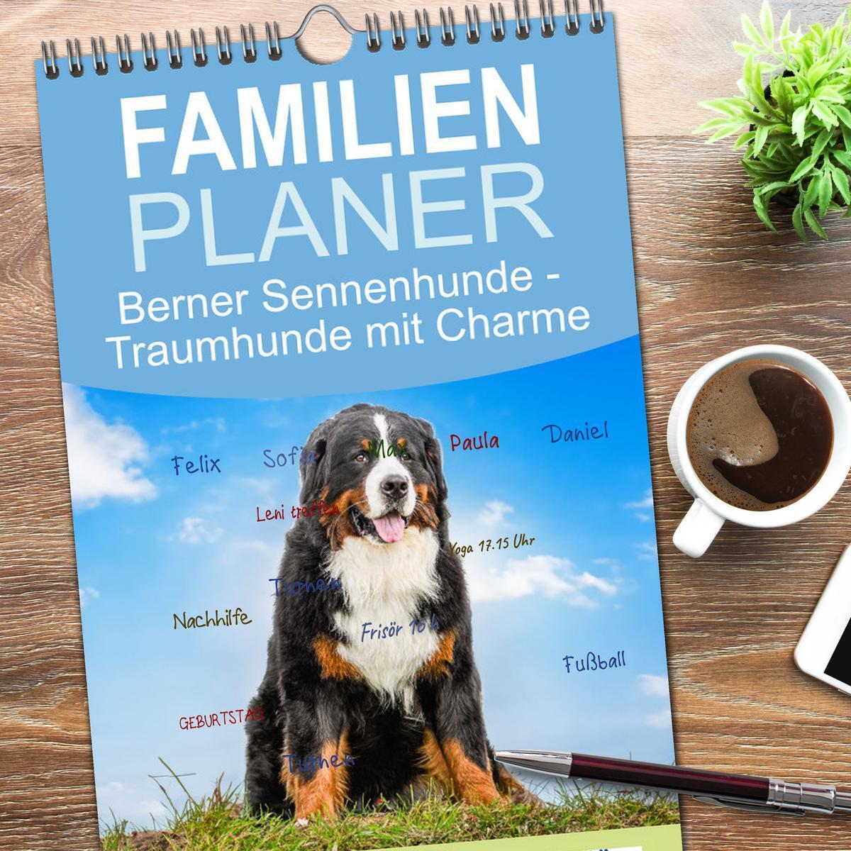 Bild: 9783457092972 | Familienplaner 2025 - Berner Sennenhunde - Traumhunde mit Charme...