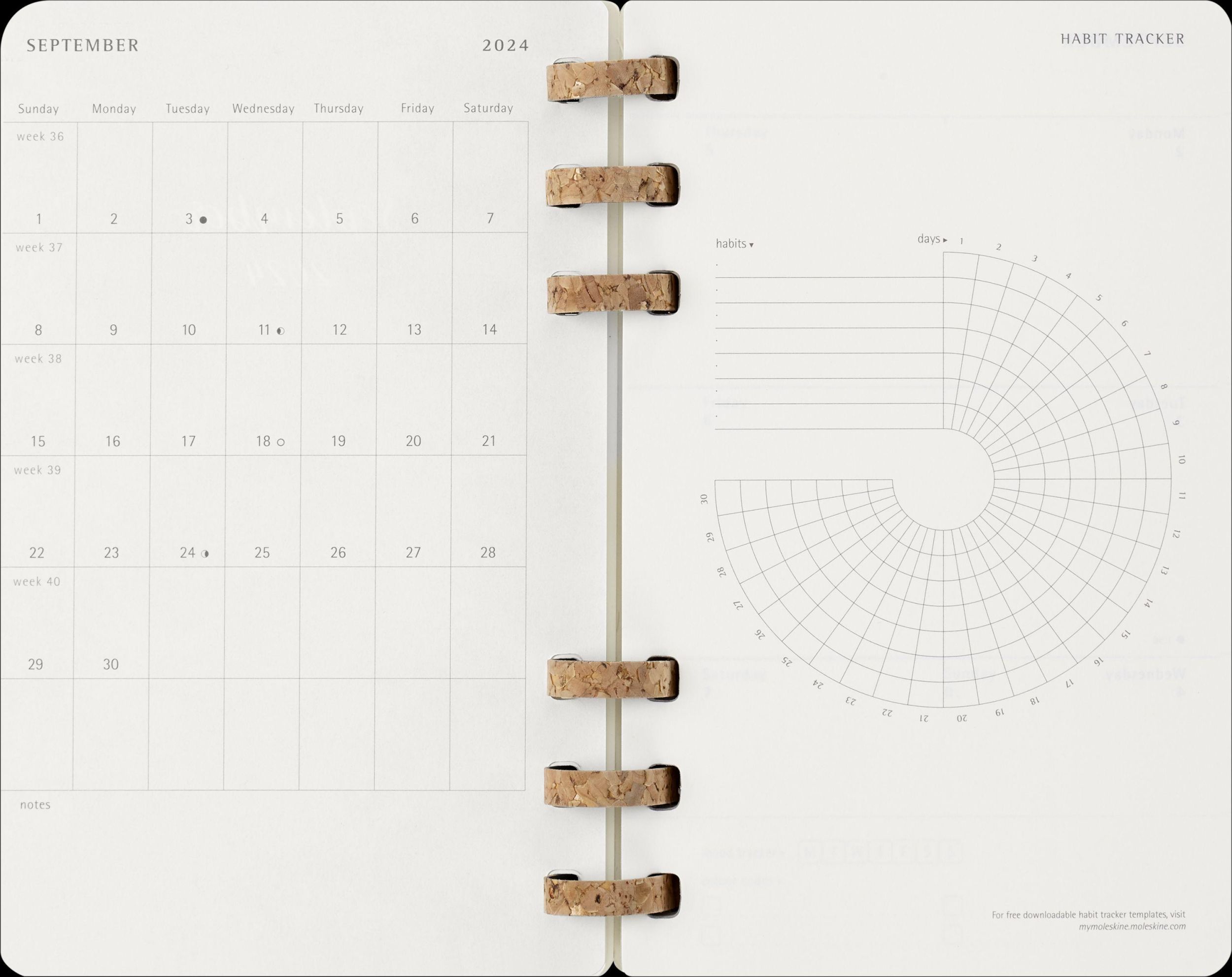 Bild: 8056999271701 | Moleskine 12 Monate Studienplaner mit Spiralbindung 2025, L/A5,...