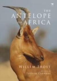 Cover: 9781431406081 | The antelope of Africa | Willem Frost | Taschenbuch | 2014