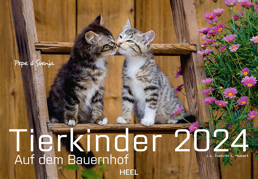 Cover: 9783966646246 | Tierkinder auf dem Bauernhof Kalender 2024 | Klein | Kalender | 14 S.