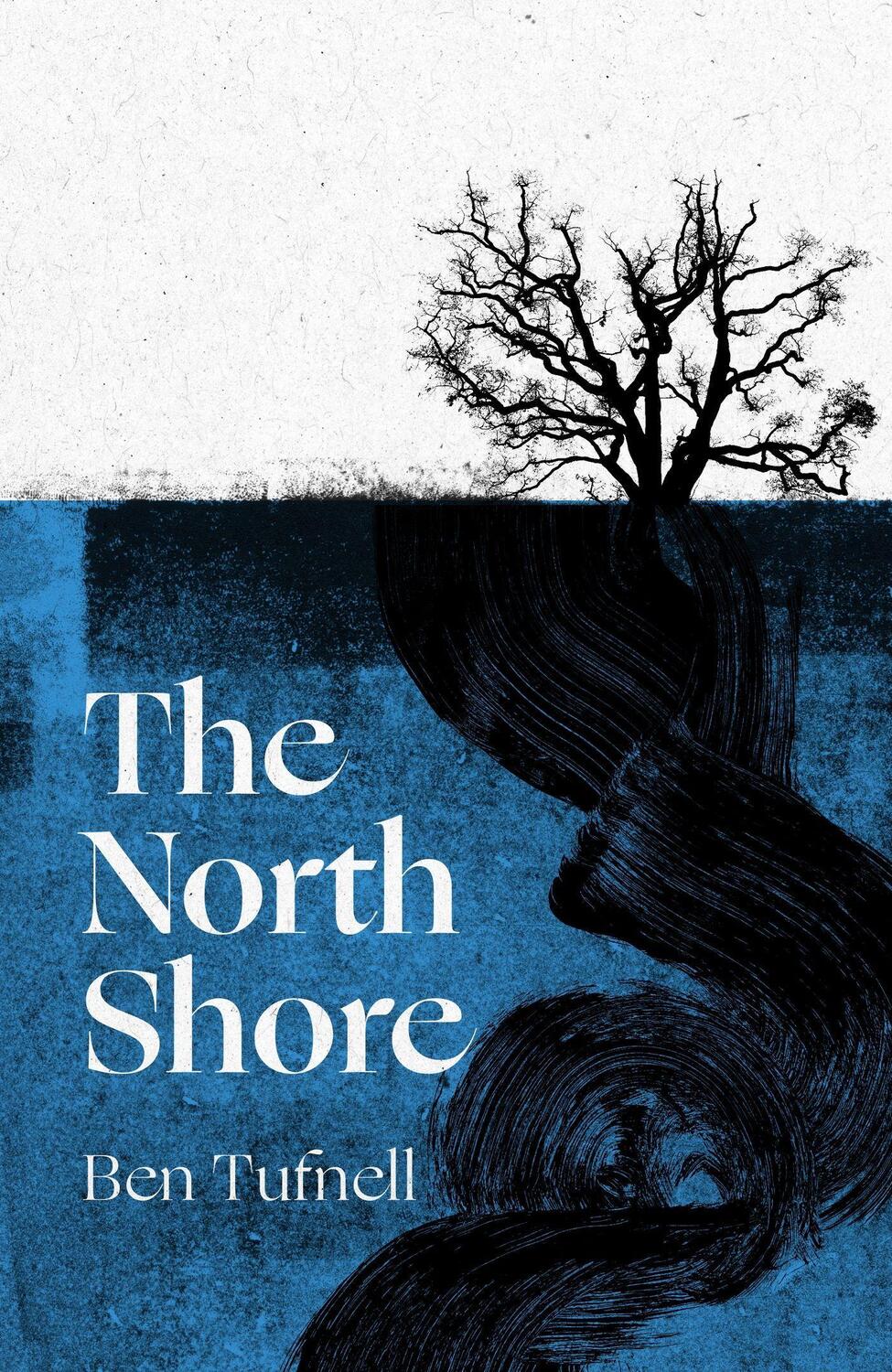 Cover: 9780349727301 | The North Shore | a stunning gothic debut | Ben Tufnell | Buch | 2023