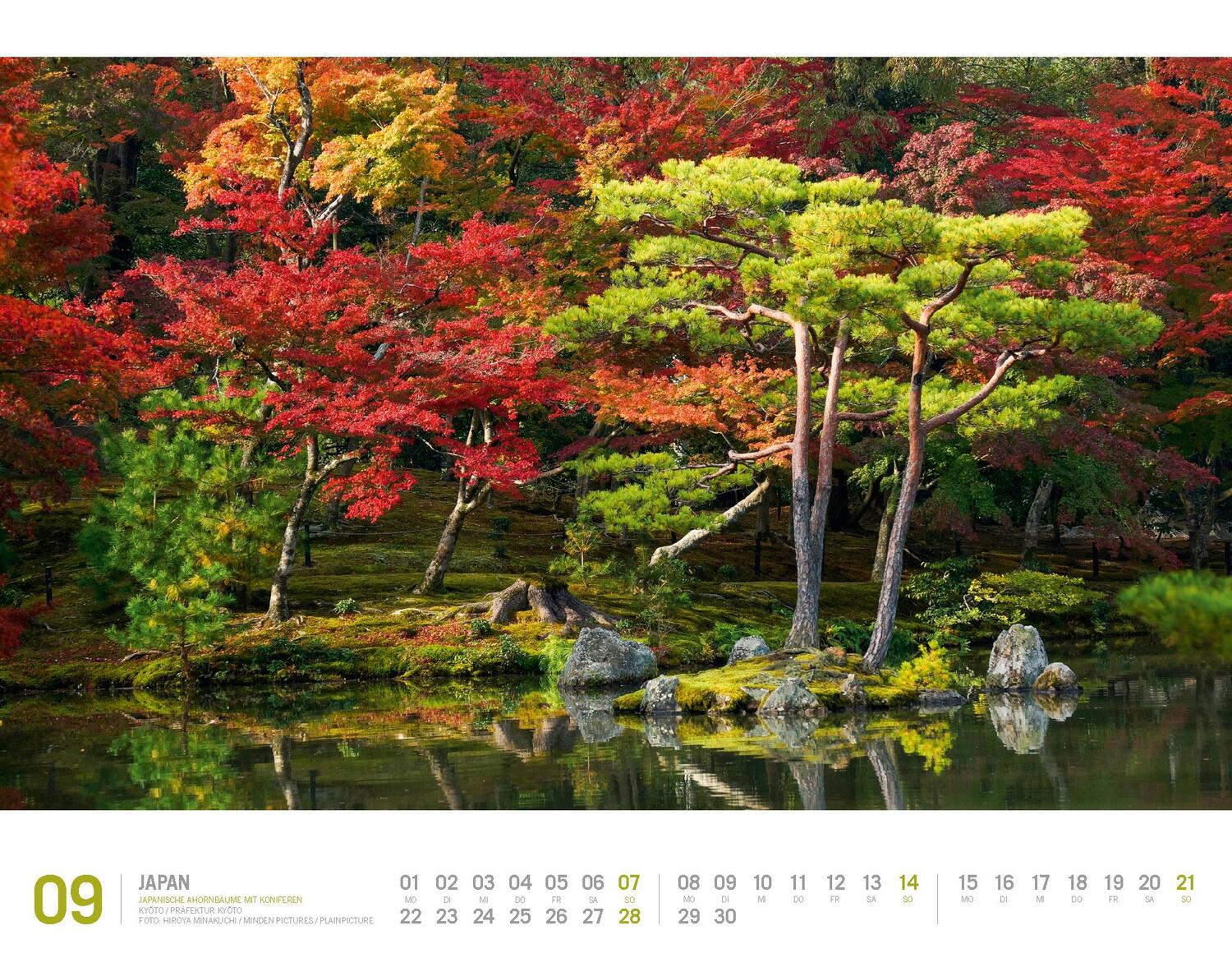 Bild: 9783838425405 | Japan - Unterwegs zwischen Tempeln und Schreinen Kalender 2025 | 14 S.
