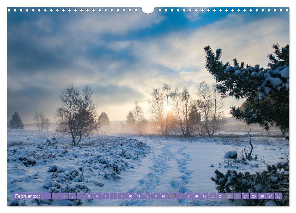 Bild: 9783383984143 | Die Farbenpracht der Lüneburger Heide (Wandkalender 2025 DIN A3...