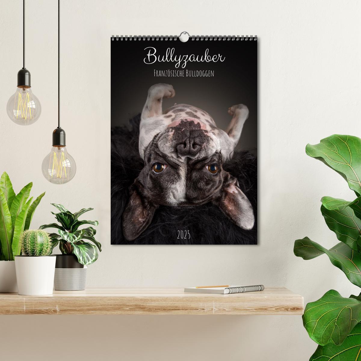 Bild: 9783435917006 | Bullyzauber - Französische Bulldoggen (Wandkalender 2025 DIN A3...