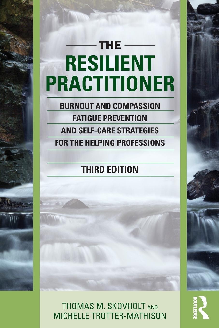 Cover: 9781138830073 | The Resilient Practitioner | Thomas M. Skovholt (u. a.) | Taschenbuch