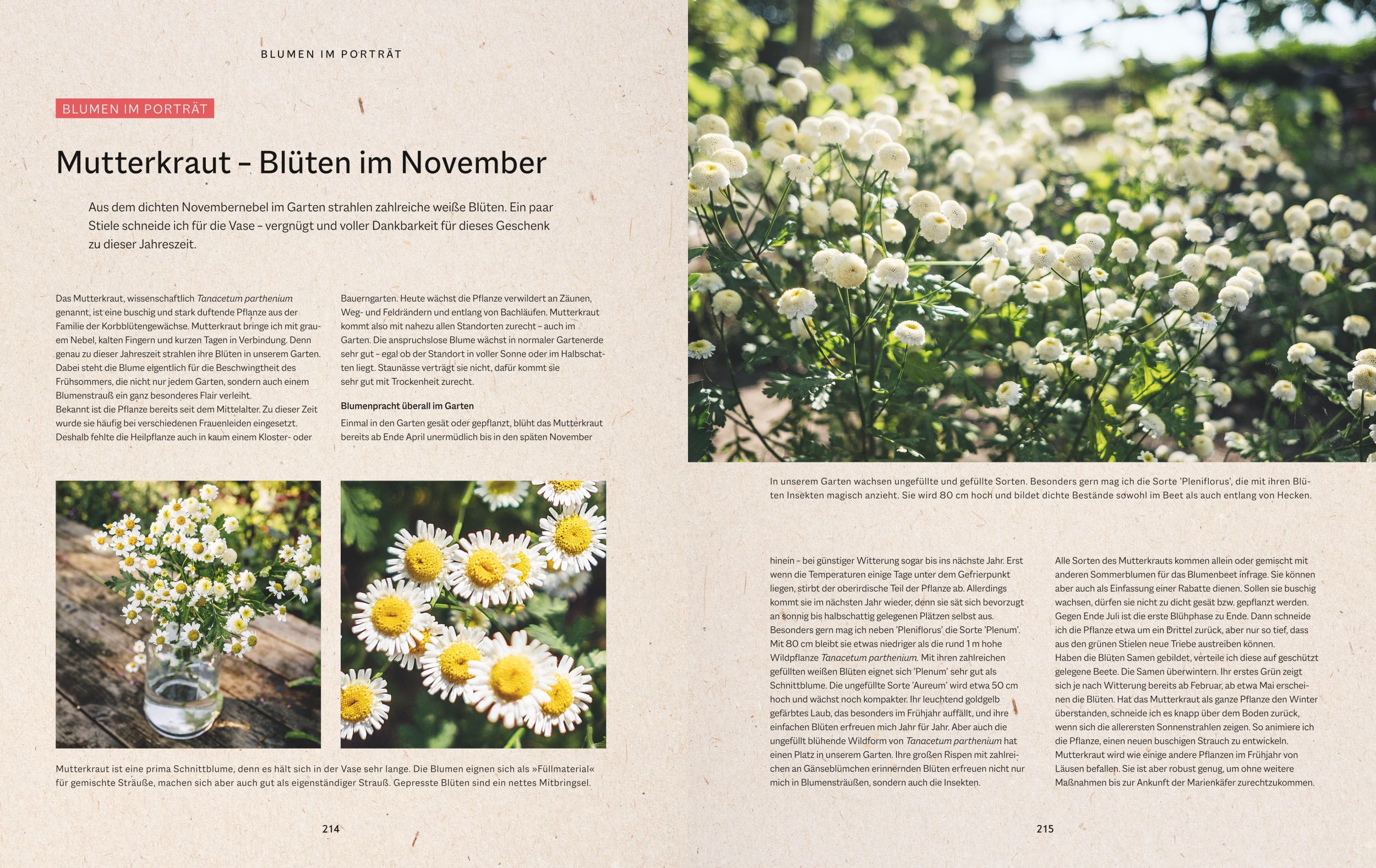 Bild: 9783833890383 | Slow Living Garden | Swetlana Osmers | Buch | Garten | 240 S. | 2025