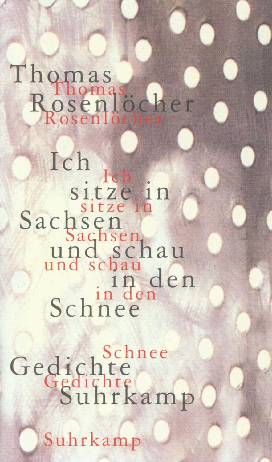 Cover: 9783518409916 | Ich sitze in Sachsen und schau in den Schnee | 77 Gedichte | Buch