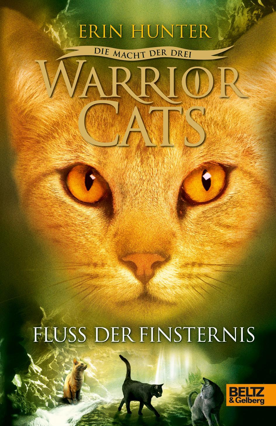 Cover: 9783407811189 | Warrior Cats Staffel 3/02. Die Macht der drei. Fluss der Finsternis