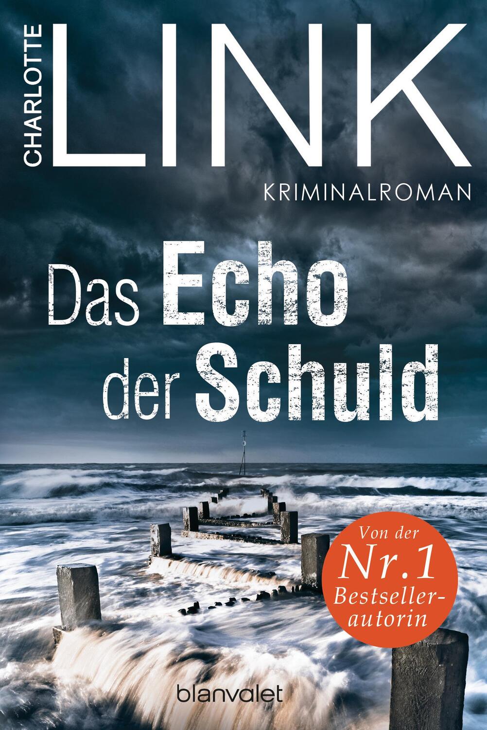 Cover: 9783734113567 | Das Echo der Schuld | Kriminalroman | Charlotte Link | Taschenbuch